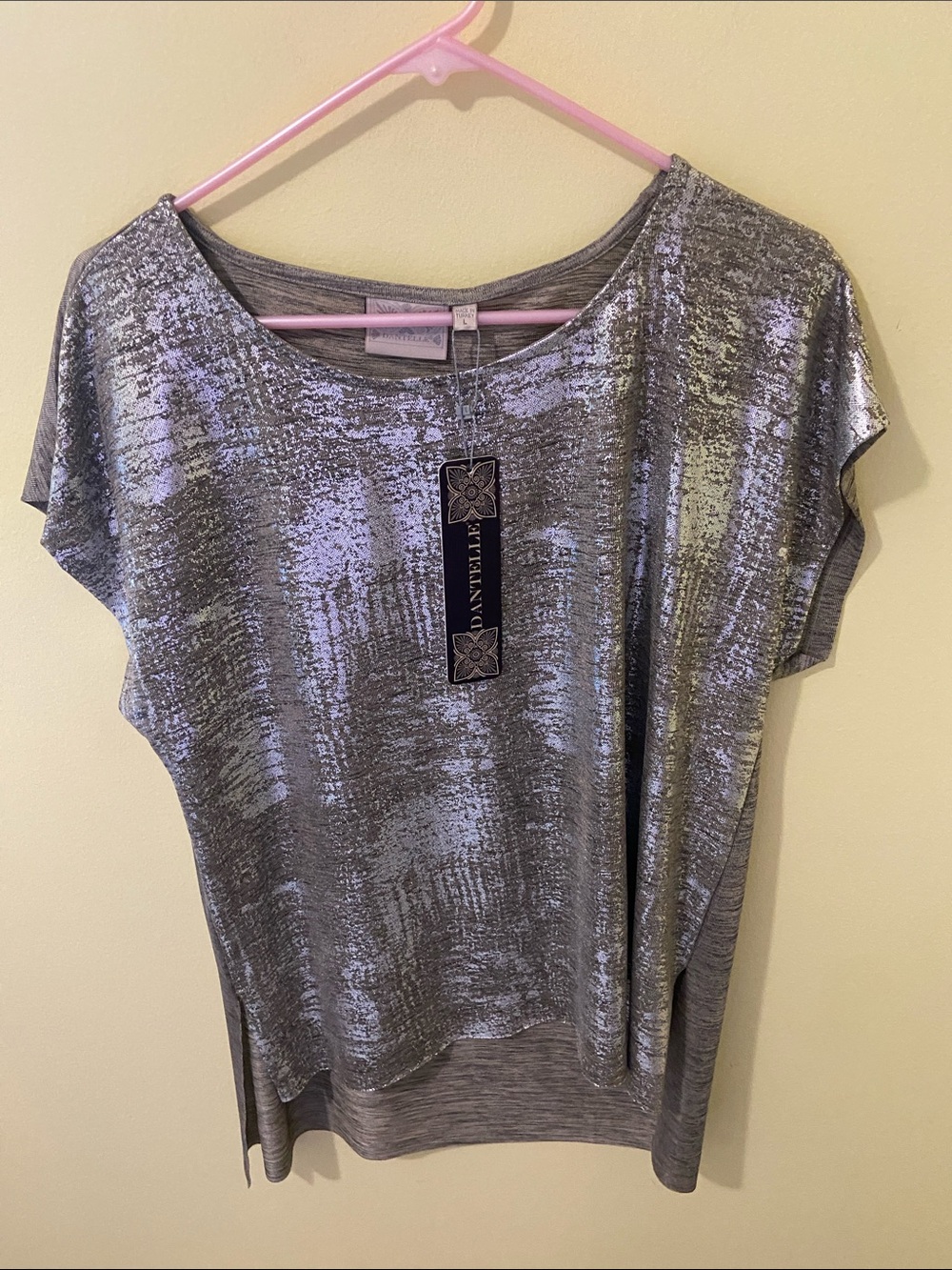 Dantelle Shimmery Silver Short Sleeve Top
